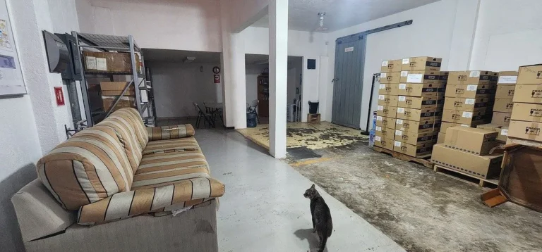OFICINAS EN VENTA A MINUTOS DE PLAZA DE TOROS